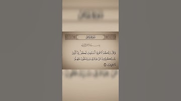 وَقَالَ رَبُّكُمُ ٱدۡعُونِيٓ أَسۡتَجِبۡ لَكُمۡۚ | سورة غافر | محمد صديق المنشاوي