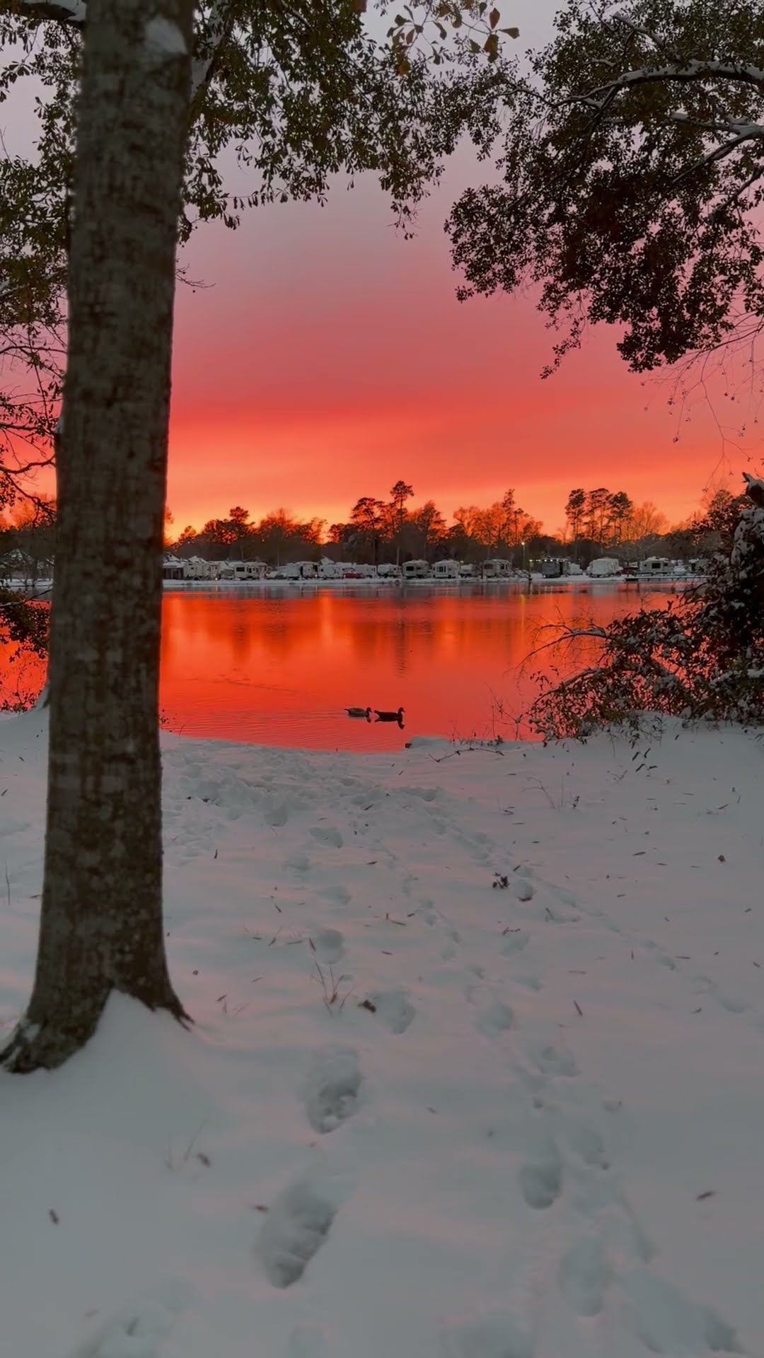 Snowy Sunset Over Red Louisiana Pond || ViralHog