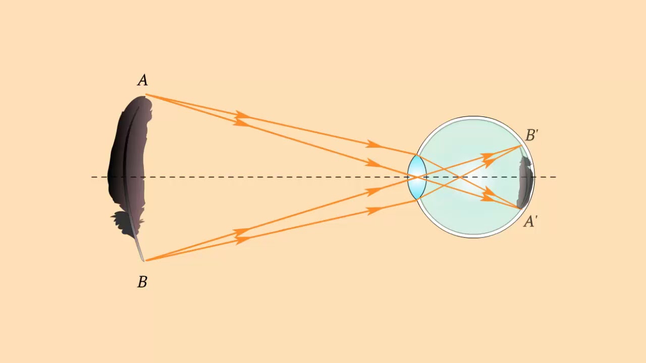 ⁣Преломление лучей в оптической системе глаза