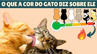 PERSONALIDADE DOS GATOS pela COR da pelagem. Tudo o que a CIÊNCIA JÁ DESCOBRIU!