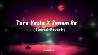 Tere Vaste X Sanam Re mashup songs [ slowed reverb ] remix songs