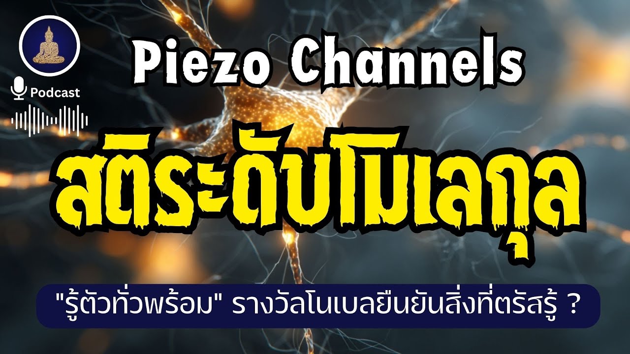 กายคตาสติระดับโมเลกุล - การมีสติรู้สัมผัสช่วยกระตุ้นระบบประสาท (ไม่มีโฆษณาคั่น)