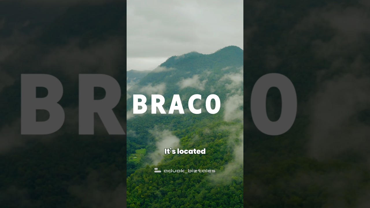 🏦 The Bank with No Branches? 💳📲