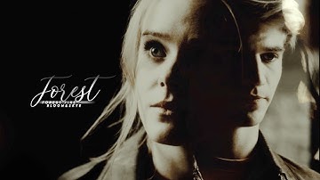 Bloom & Sky • Forest Fire