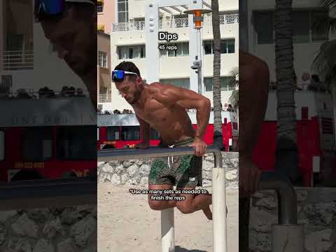 Expert Level Calisthenics