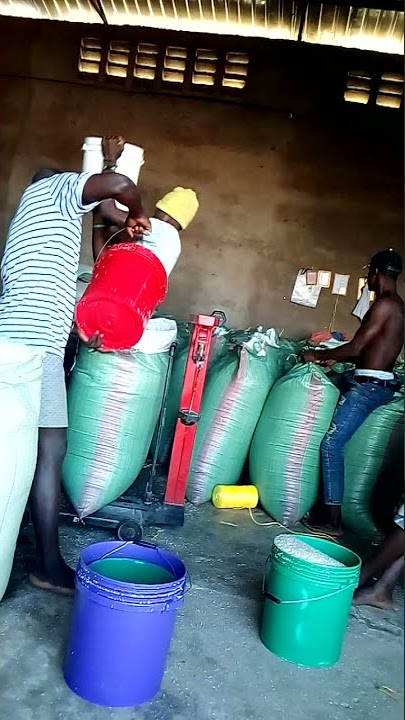 tunauza magunia ya mchele hata kimadebe kwa bei rahisi sana na ni mchele mzuri sana.