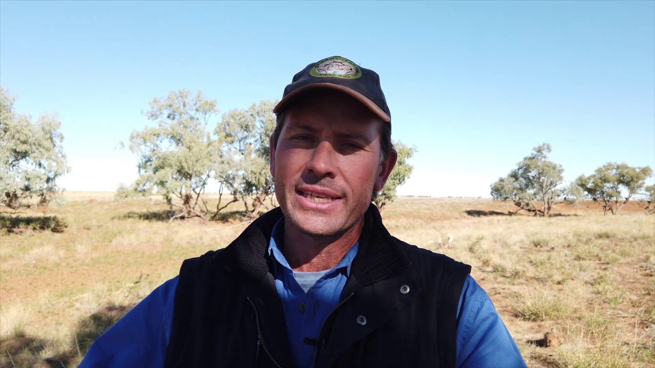 Regenerative Agriculture Field Day Dunluce Station, Hughenden North ...