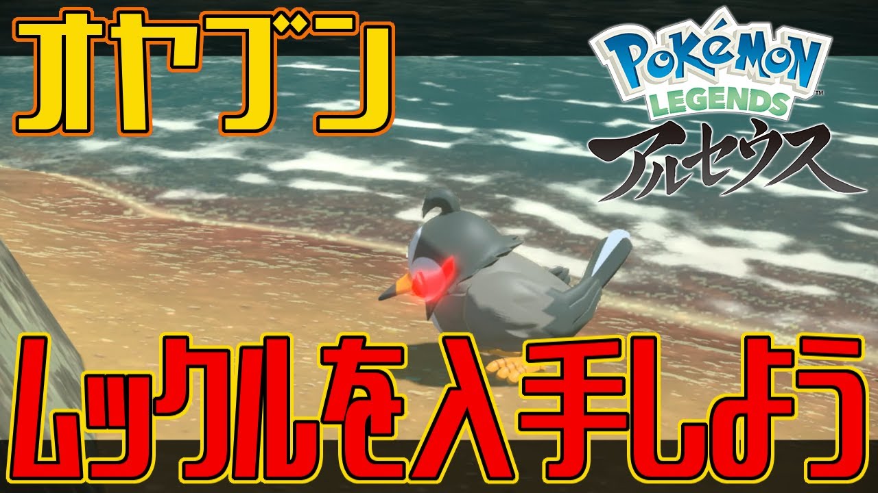 ポケモンアルセウス オヤブンのムックルを入手しよう Pokemon Legends アルセウス Youtube