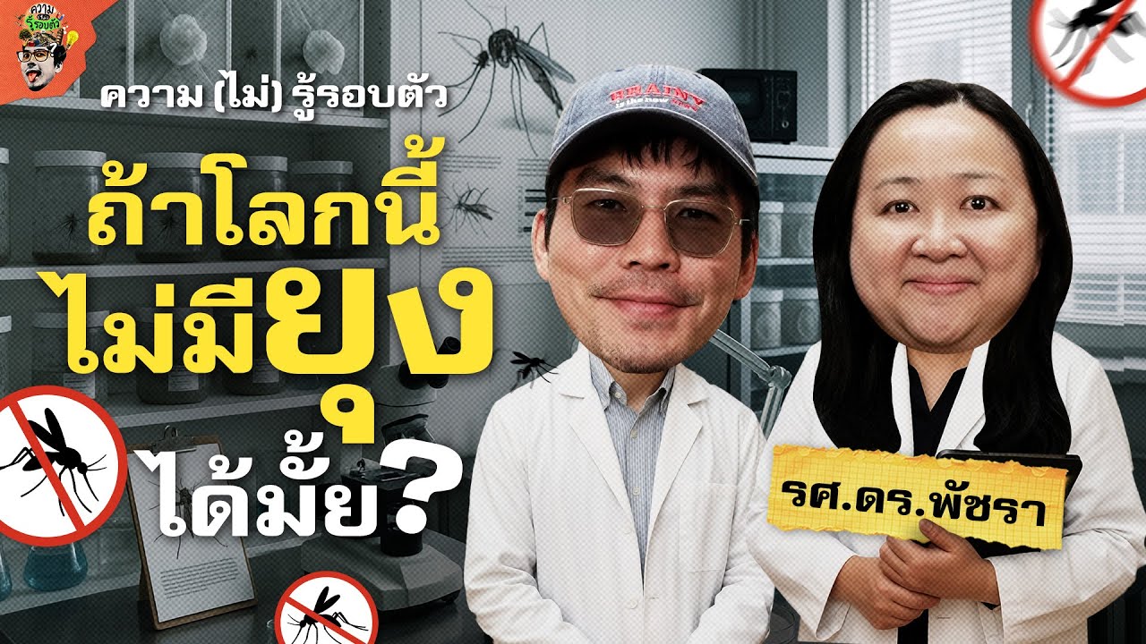 ยุงมีประโยชน์อะไร โลกนี้ไม่มียุงเลยได้ไหม? | ความ(ไม่)รู้รอบตัว