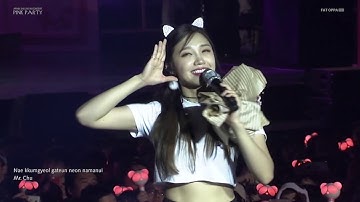 APINK - Mr. Chu [PINK PARTY CONCERT with Romanized Lyrics]