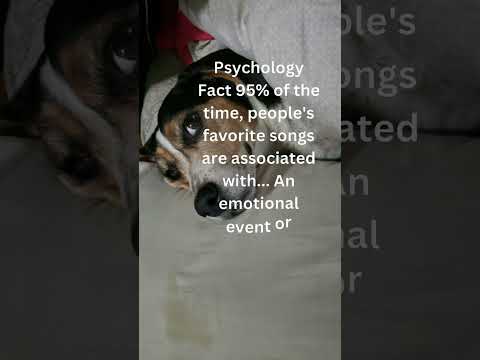 Songs Of The Soul How Music Echoes Our Emotional Past