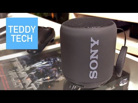 Sony SRS-XB10 Portable Bluetooth Speaker is the Perfect Stocking Stuffer