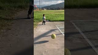 Baby Shark sadiq babysong littlepib childrenssong cover cute babyshark funny automobile