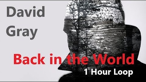 David Gray - Back in the World - 1 Hour Loop (Official HD Video/Audio)