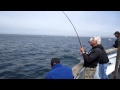 Chris fishing and whale watching white sea bass