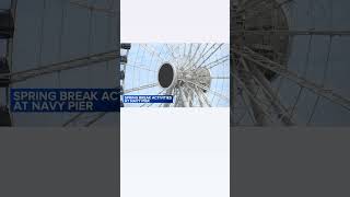 Things to do in Chicago for spring break 2025