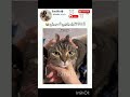 صراحة يفطس 😭😂 #subscribe #like #shorts #explore