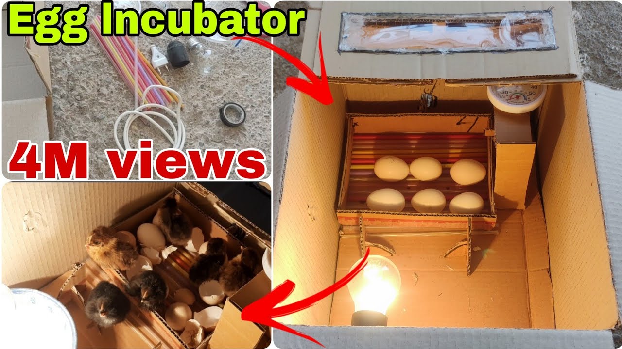 How to make a home incubator easy Cardboard Box egg lncubator 