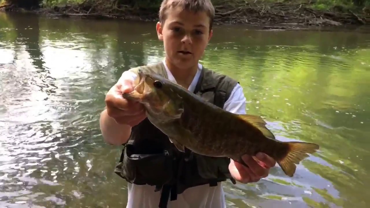 Fishing The Clinch River YouTube