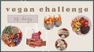 🌱30 Day Vegan Challenge *what to expect, benefits, no boring recipes* screenshot 3