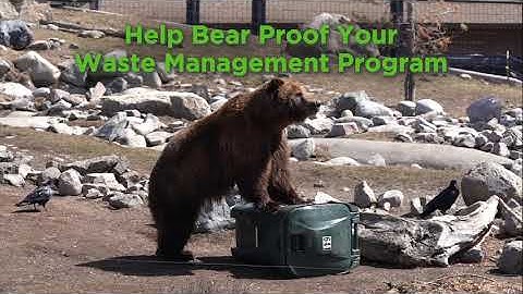 Toter Automated Bear Cart