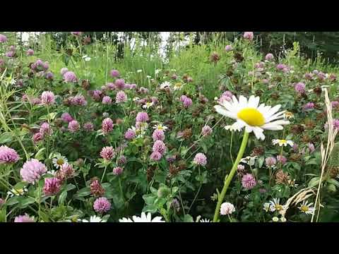 Cycling. Charlottetown -