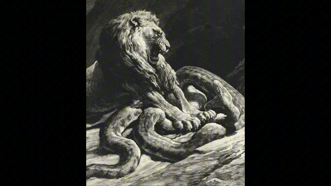 SAÏF & Metah & La Fève Type Beat - COEUR DE LION | prod. @indycorp