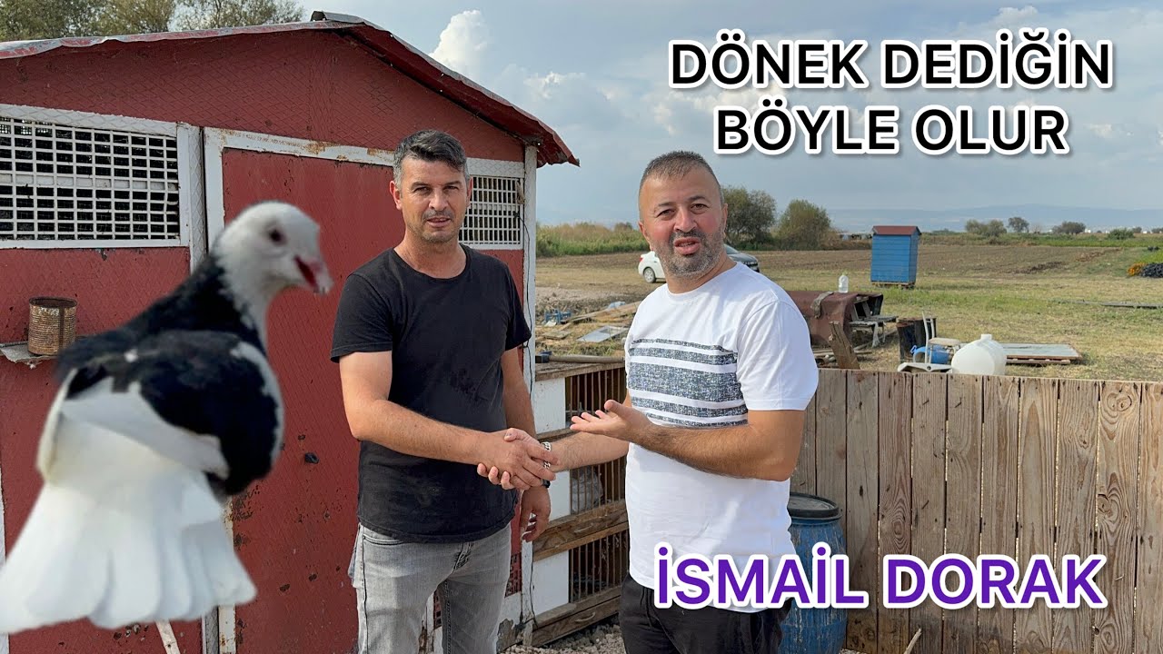ÇAKILDI ÇAKILDI  SEN NE YAPTIN İSMAİL DORAK