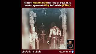 The Dark Secret of Medieval Executioners Full Story! మధ్యయుగపు తలారుల చీకటి రహస్యాలు! 😱 #mystery