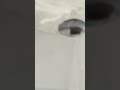 dondurmayı çok severim sabah akşam olsa yerim vermezse sıfatını...