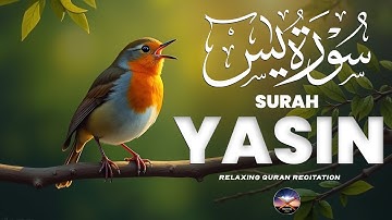 Surah Yasin (Yaseen) for Healing | Relieve Stress, Depression & Anxiety | سورة يس | #surahyaseen