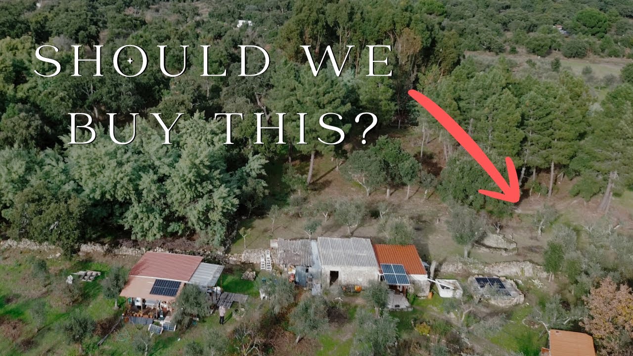 Will This Fix Our Problems After the Storms?