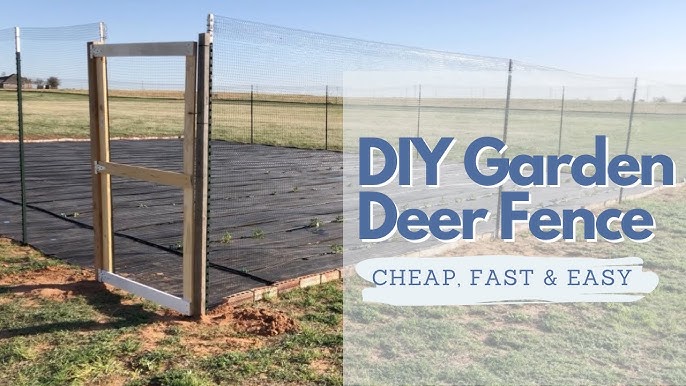 Cheap, Fast, & Easy DIY Garden Deer Fence that WORKS 