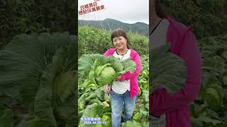 白蘭部落 巴棍民宿露營 5分鐘紀念影片 新竹五峰 2025年10月10日～11日.