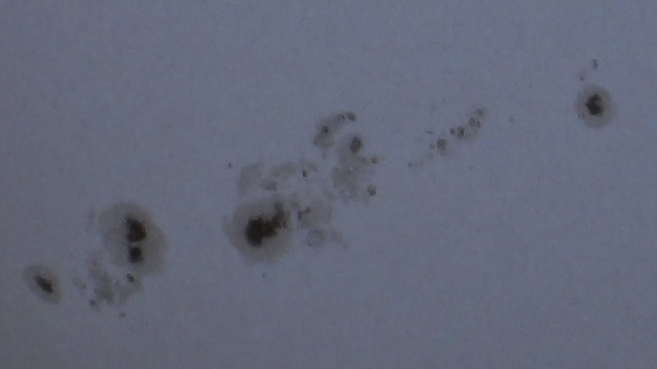 Massive Sunspots Nikon P1000 Movie Mode 