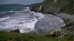 Popular Videos Mount Tamalpais State Park Steep Ravine Trail