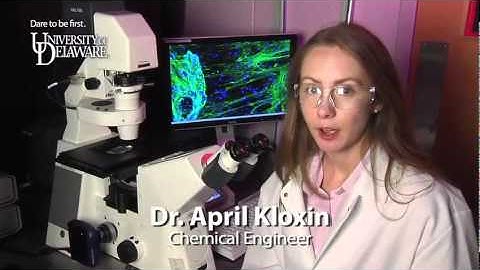 What is Engineering?