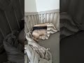 豚なりの小さくなってしまったクッションの使い道