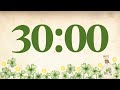 30 Minute Fun Saint Patrick’s Day Timer (Glockenspiel Tones at End)