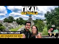 TIKAL, PRECIOS Y CÓMO LLEGAR A LA GRAN CIUDAD MAYA | GUATEMALA | 4K |