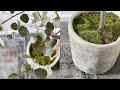 Amazing FAUX TREE DIY & Stone Planter // Bedroom Home Decor Ideas