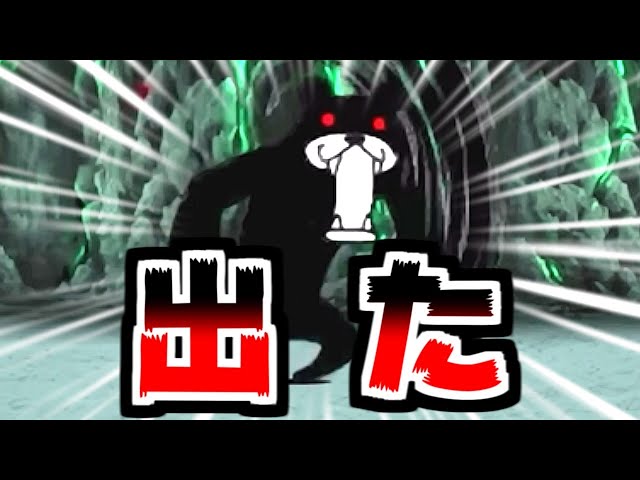 にゃんこ sddefault.jpg