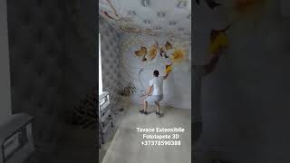 Tavane Extensibile și Fototapete 3D