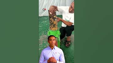 ⚽ feed pellet machine low price high capacity #fcnfm #youtube #feedpelletmachine