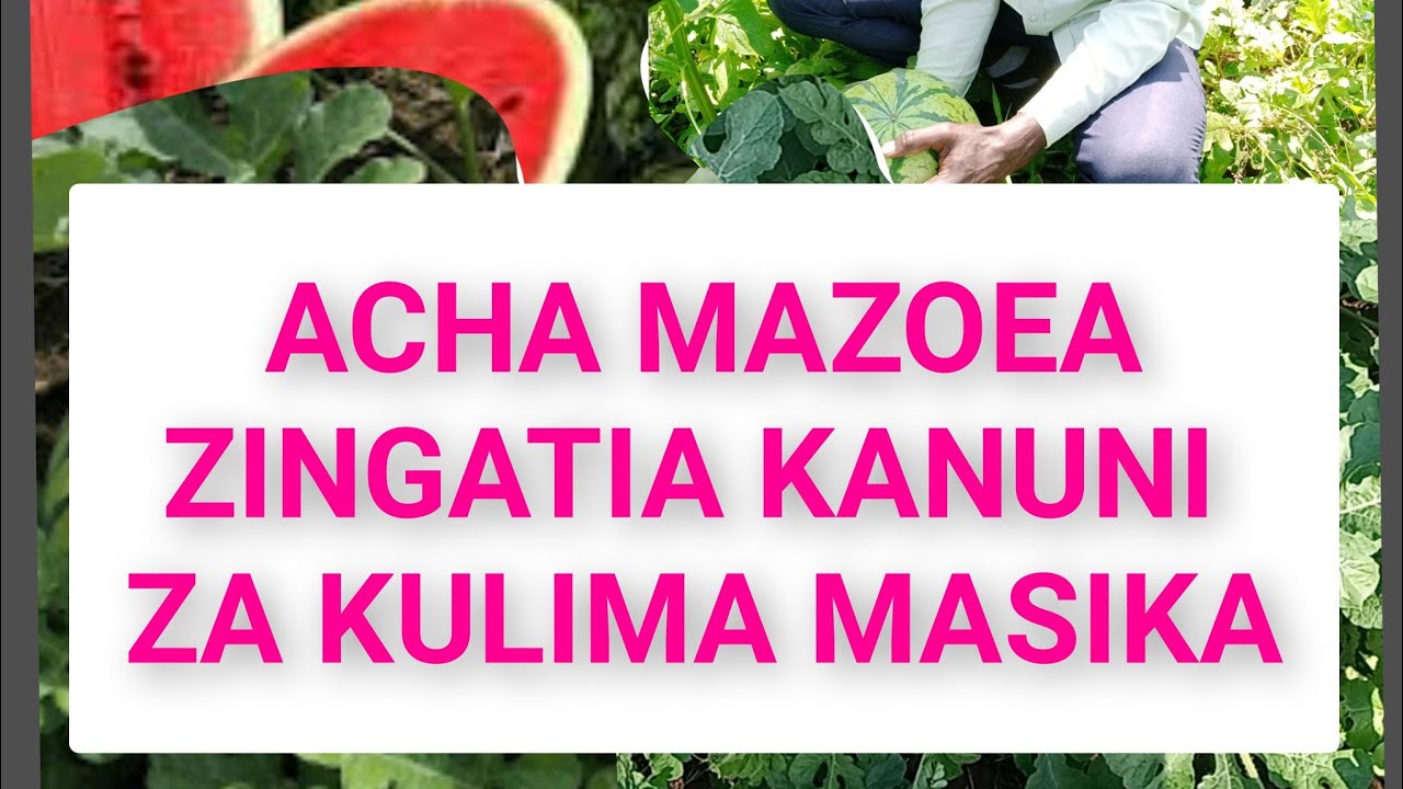 LIMA MASIKA UPATE PESA NYINGI KWA KUTUMIA KANUNI TANO