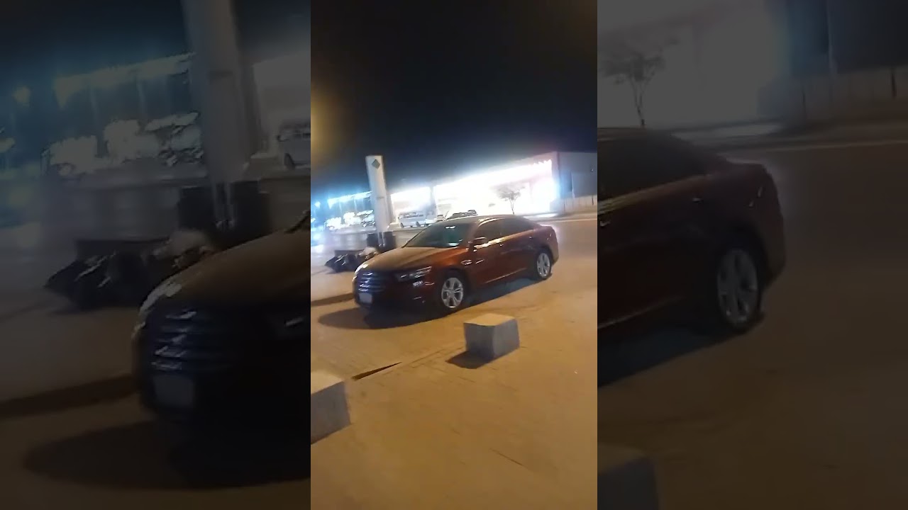 19 فبراير 2026