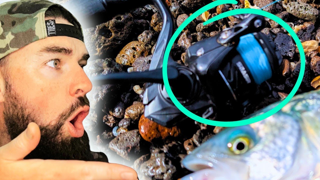 20 dollar casting reel realistic fishing Feather Chromium Reels this reel blends cutting The Best Baitcasting Reels of