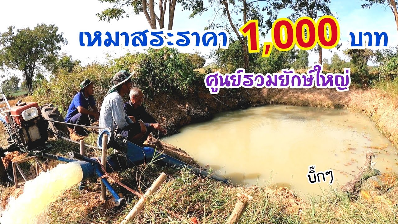 เหมาสระราคา 1,000฿ ศูนย์รวมยักษ์ใหญ่ในตำนาน ไม่ได้สูบปีเดียวบิ๊กๆทั้งนั้น - หนุ่มอ้น