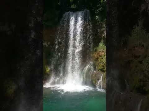 Lisine / Veliki Buk