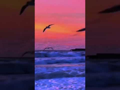 Вечерний берег моря. Evening seashore. #nature #seashore #природа #природныепейзажи #море #вечер